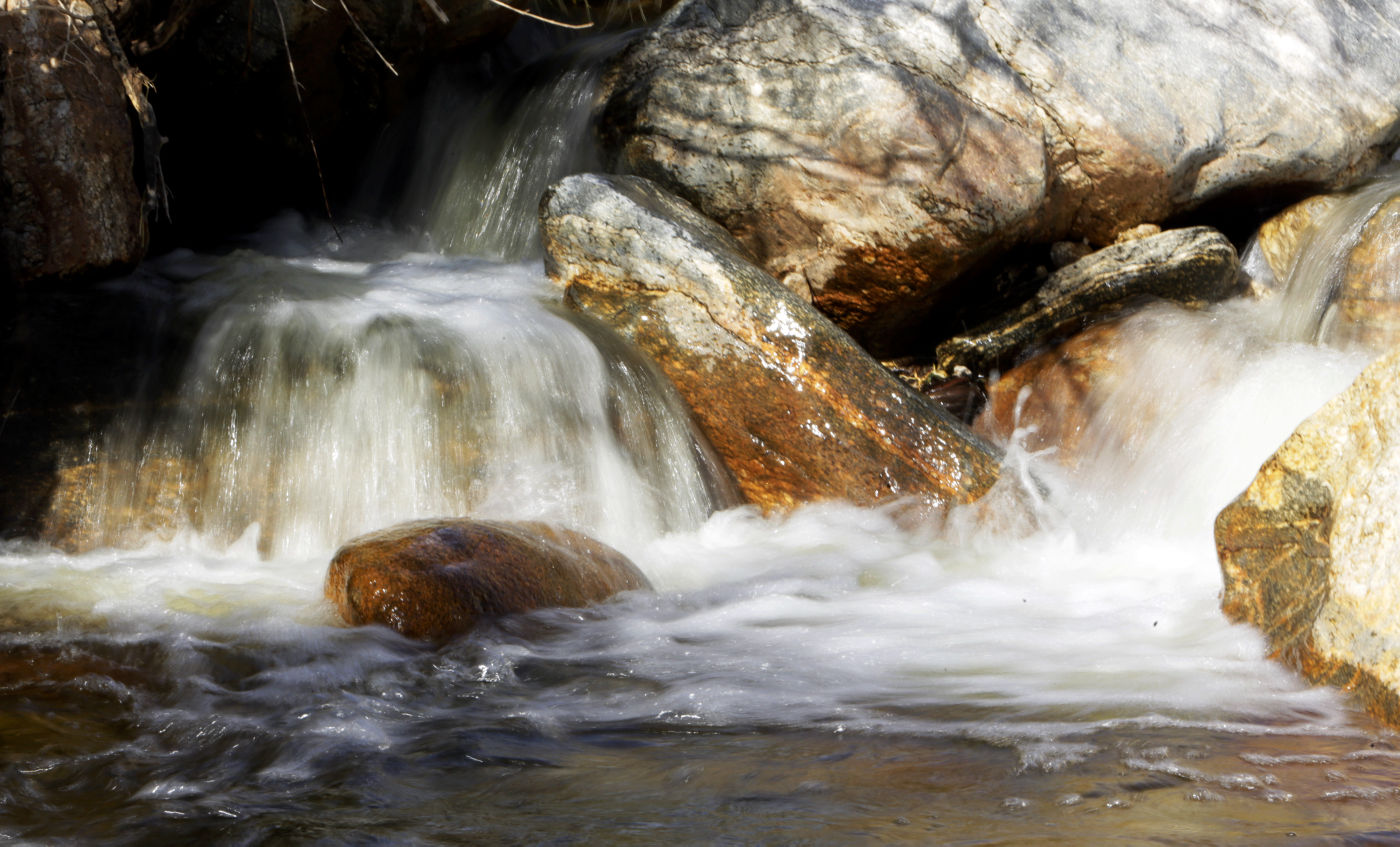 Sabino Canyon